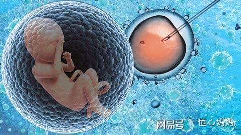 卵子凍結保存